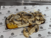 Mushrooms and Garlic Bruschetta